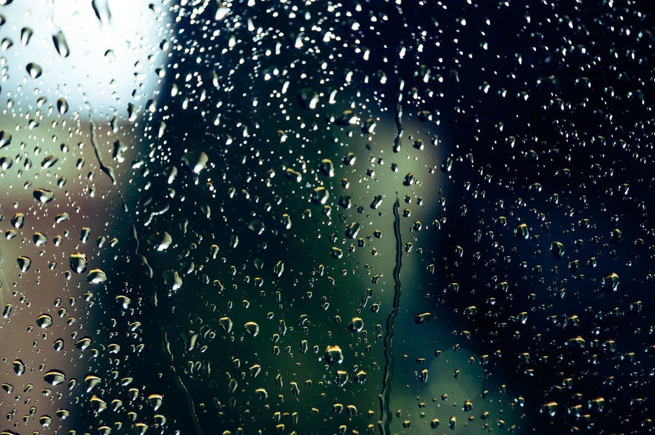 Condensation beading on a window pane, the humidity reality Memphis floors live with